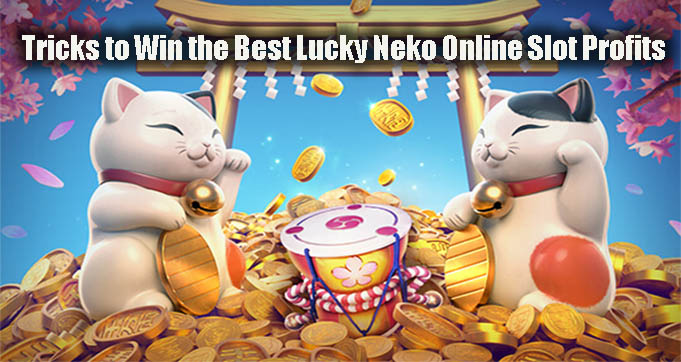 Tricks to Win the Best Lucky Neko Online Slot Profits